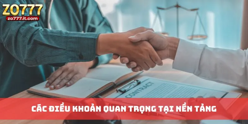 Các điều khoản quan trọng tại nền tảng