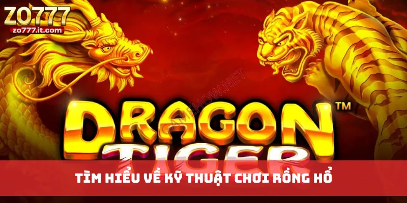 Tìm hiểu về kỹ thuật chơi Rồng Hổ